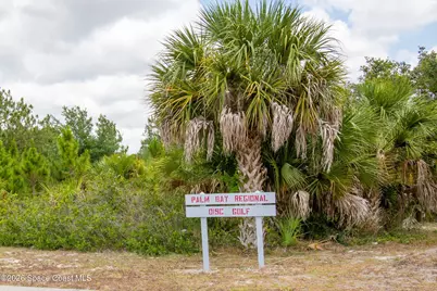 483 Freeman Road NW, Palm Bay, FL 32907 - Photo 35