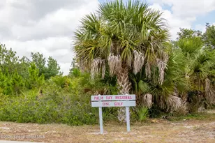 483 Freeman Rd NW, Palm Bay, FL 32907 - Photo 35