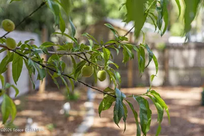 7455 Darien Road, Cocoa, FL 32927 - Photo 37