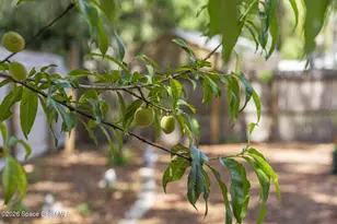 7455 Darien Rd, Cocoa, FL 32927 - Photo 37