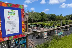 5798 Carissa Rd, Melbourne, FL 32904 - Photo 29