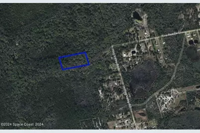 Xxx Pine Needle Street, Mims, FL 32754 - Photo 1