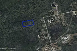 Xxx Pine Needle St, Mims, FL 32754 - Photo 1