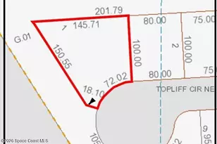 1101 Topliff Cir NE, Palm Bay, FL 32907 - Photo 31