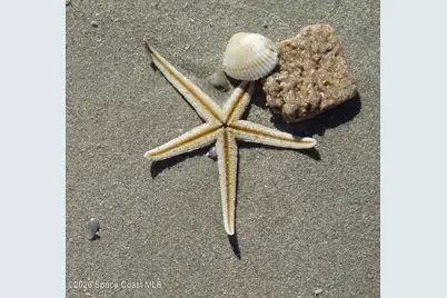 205 Melaleuca Drive, Satellite Beach, FL 32937 - Photo 59