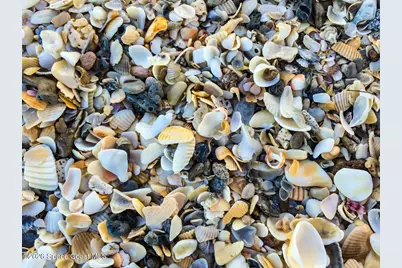 205 Melaleuca Drive, Satellite Beach, FL 32937 - Photo 65