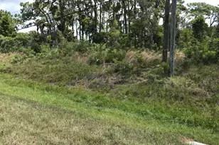 0 Unknown, Mims, FL 32754 - Photo 1