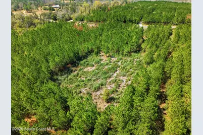 23287 NW Church Road, Altha, FL 32421 - Photo 17