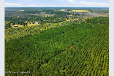 23287 NW Church Road, Altha, FL 32421 - Photo 13