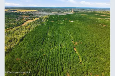 23287 NW Church Road, Altha, FL 32421 - Photo 11