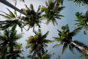 5124 Madras Dr NW, Palm Bay, FL 32907 - Photo 29