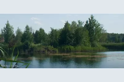 5124 Madras Drive NW, Palm Bay, FL 32907 - Photo 25