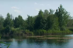 5124 Madras Dr NW, Palm Bay, FL 32907 - Photo 25