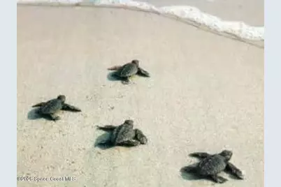 [Address not provided], , FL  - Photo 43