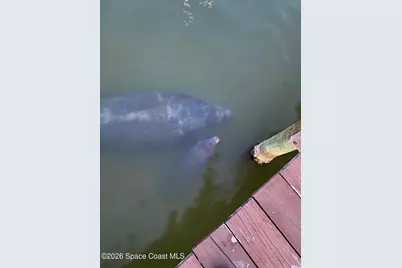 261 Cape Shores Circle #18-F, Cape Canaveral, FL 32920 - Photo 41