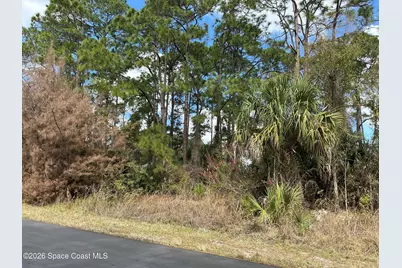 485 Gephart Street SW, Palm Bay, FL 32908 - Photo 3