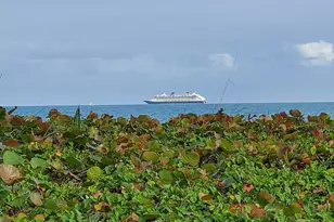 310 Taylor Ave, Cape Canaveral, FL 32920 - Photo 17