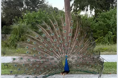 310 Taylor Avenue #3c1, Cape Canaveral, FL 32920 - Photo 19