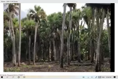 O00 E Unknown, Merritt Island, FL 32953 - Photo 1