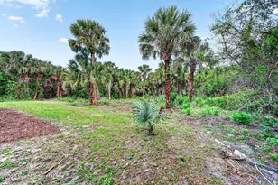 831 Owl Street SW, Palm Bay, FL 32908 - Photo 51