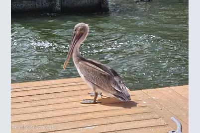 540 S Banana River Drive #103, Merritt Island, FL 32952 - Photo 39