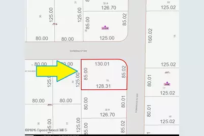 554 Fernwood Avenue NW, Palm Bay, FL 32907 - Photo 3