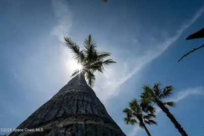 1364 Palmer Court, Cocoa Beach, FL 32931 - Photo 101