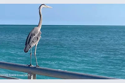 188 Bayshore Drive, Melbourne Beach, FL 32951 - Photo 67