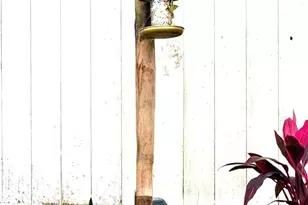 1415 Litchfield Dr, Melbourne, FL 32904 - Photo 53