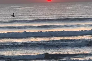 1405 Hwy A1A Hwy, Satellite Beach, FL 32937 - Photo 31