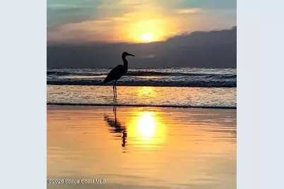 708 Beach Park Lane, Cape Canaveral, FL 32920 - Photo 45