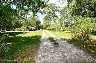 3025 Fawn Lake Blvd, Mims, FL 32754 - Photo 31