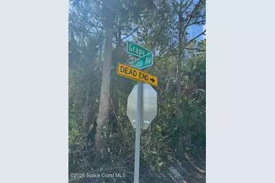 0 Grape and Mango Street, Cocoa, FL 32926 - Photo 3