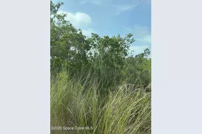 0 Jason Ave Avenue, Cocoa, FL 32926 - Photo 5