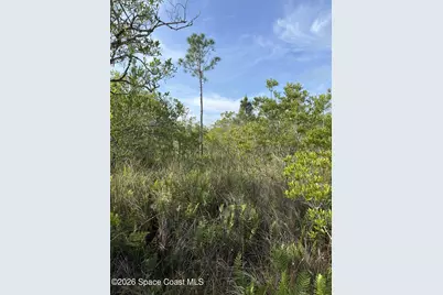 0 Jason Ave Avenue, Cocoa, FL 32926 - Photo 3