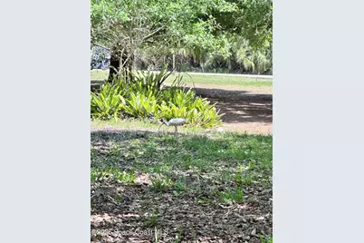 1563 Hamilton Avenue SW, Palm Bay, FL 32908 - Photo 21