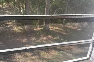 [Address not provided], , FL - Photo 11