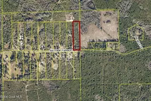 1077 NW Hamp Farmer Rd, Lake City, FL 32025 - Photo 1