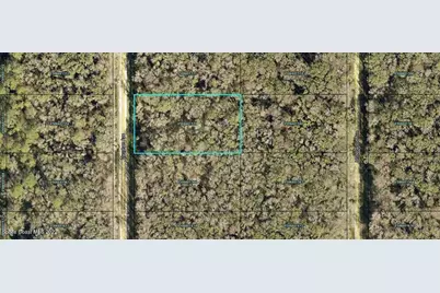 10620 Vaughan Avenue, Hastings, FL 32145 - Photo 1