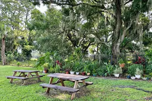 304 Bottlebrush Ct, Cocoa, FL 32926 - Photo 45