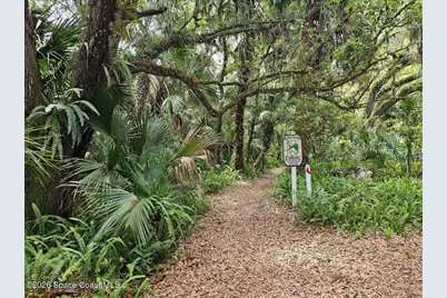 5747 Cajeput Circle, Melbourne Village, FL 32904 - Photo 39