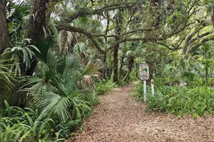5747 Cajeput Cir, Melbourne Village, FL 32904 - Photo 39
