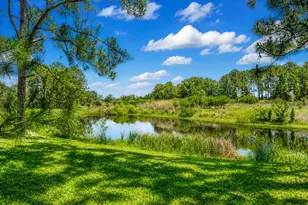 541 Morning Cove Cir SE, Palm Bay, FL 32909 - Photo 5