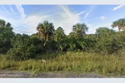 525 Forrest Hills Street SW, Palm Bay, FL 32908 - Photo 1