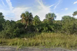 525 Forrest Hills Street SW, Palm Bay, FL 32908 - Photo 1