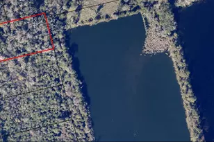 0000 Off Deering Pkwy, Mims, FL 32754 - Photo 1