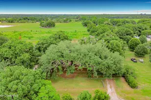 255 Grant Bass Rd, Kenansville, FL 34739 - Photo 59
