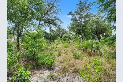 5560 Cangro Street, Cocoa, FL 32926 - Photo 35