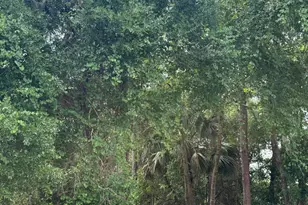 5995 Sisson Rd, Titusville, FL 32780 - Photo 29