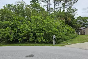 1723 Delki St NW, Palm Bay, FL 32907 - Photo 1